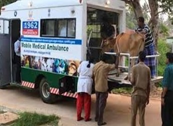 Veterinary Services